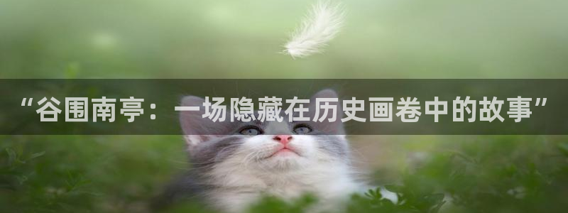 香蕉漫画书免费阅读下拉：“谷围南亭：一场隐藏在历史画卷中的故事”