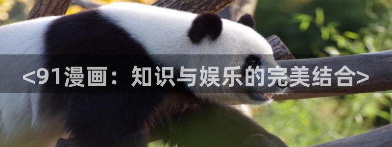 香蕉文化漫画免费入口的优点：<91漫画：知识与娱乐的完美结合>