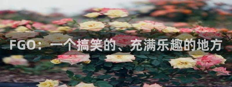 香蕉在线观看视频：FGO：一个搞笑的、充满乐趣的地方
