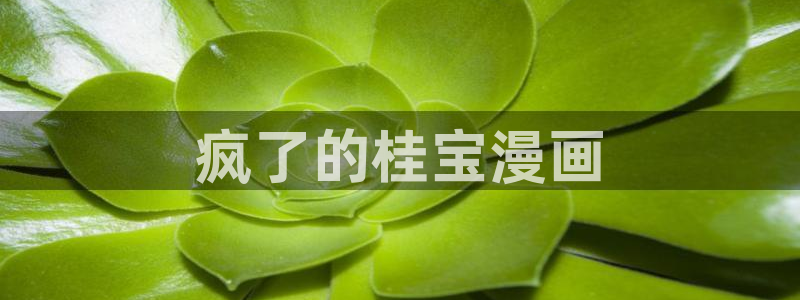 香蕉文化漫画书免费阅读平台网页：疯了的桂宝漫画
