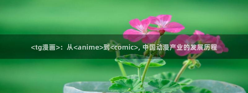 香蕉文化漫画vip：<tg漫画>：从<anime>到<comic>, 中国动漫产业的发展历程